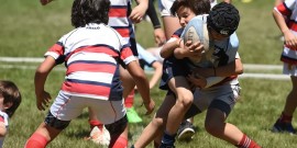 Celebramos junto a Maristas el Torneo del Interior y los 50 años del Máximo Navesi